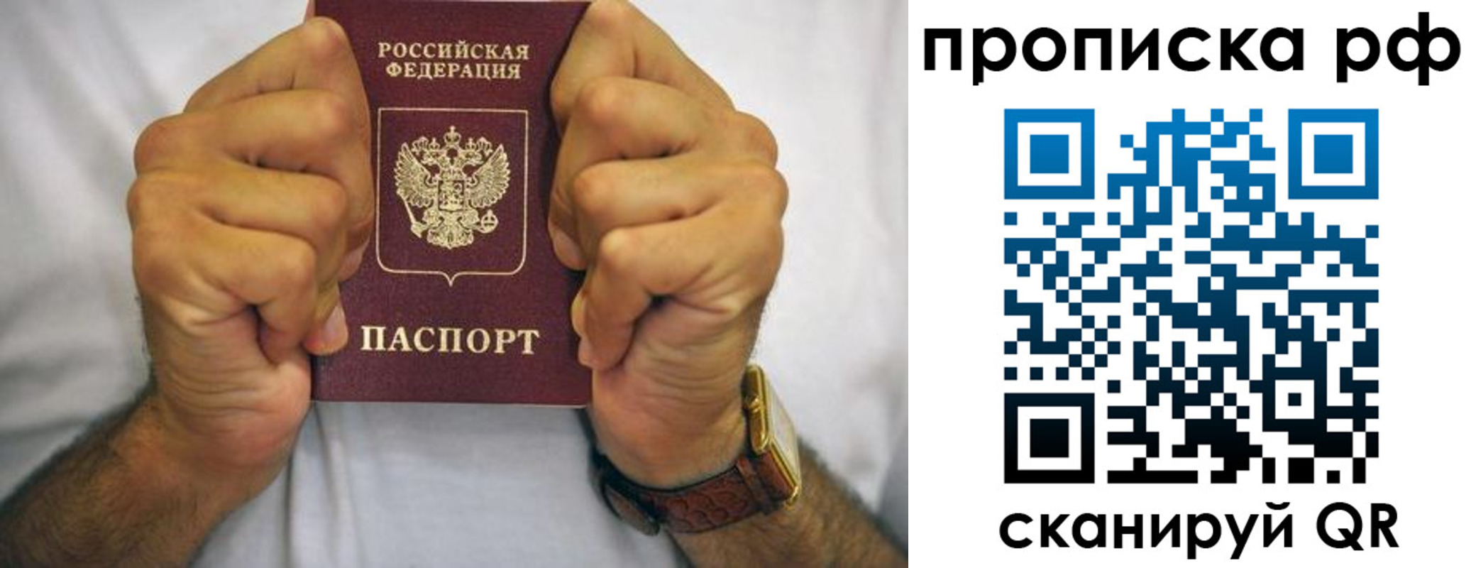 прописка регистрация в Курске